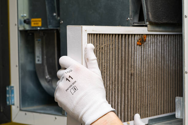 Best Emergency Air Duct Cleaning  in Belvedere, SC